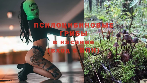 гидра Алексеевка