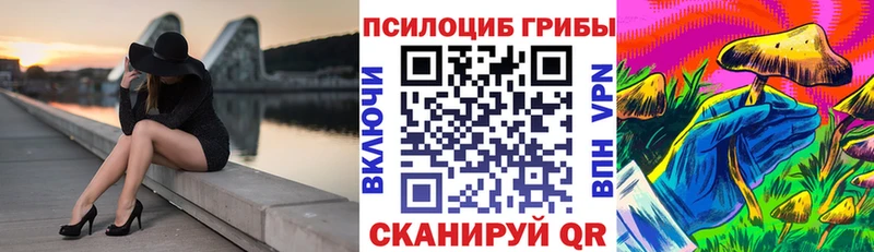Псилоцибиновые грибы MAGIC MUSHROOMS  блэк спрут   Касимов  купить наркотики цена 
