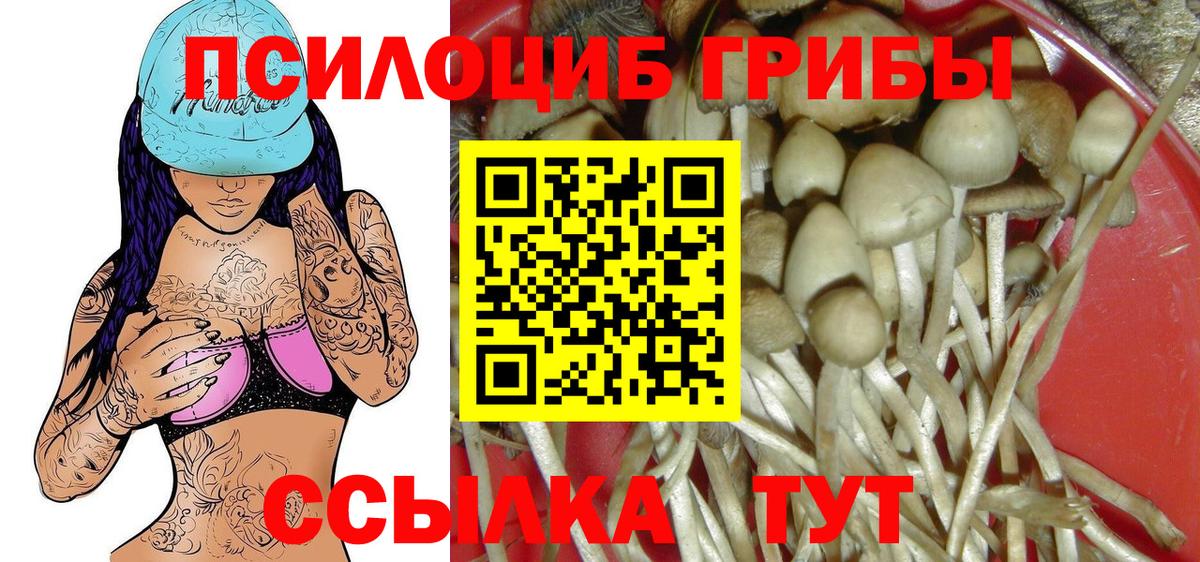 Галлюциногенные грибы Psilocybe  Галлюциногенные грибы Psilocybe  Касимов  Вход с VPN 